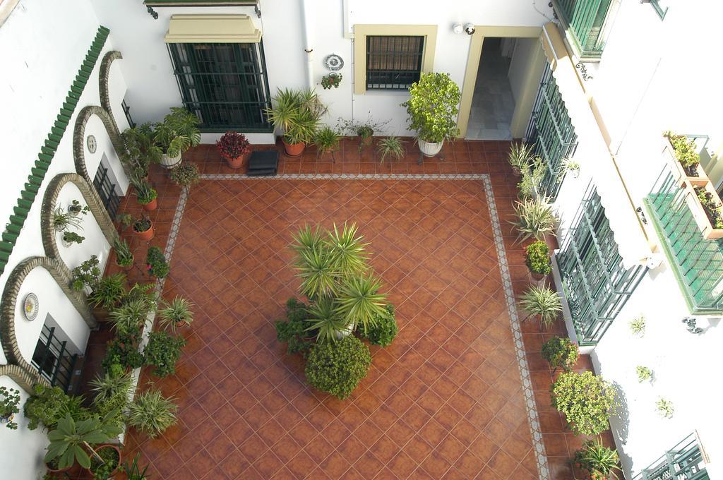 Apartamento Los Olivos Jerez Apartment เฮเรซ เด ลาฟรอนเตรา ห้อง รูปภาพ